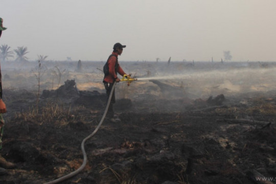 The forest and land fire task force attempting to extinguish a fire in PT ATGA concession peatland in 2019 ©KKI-Warsi