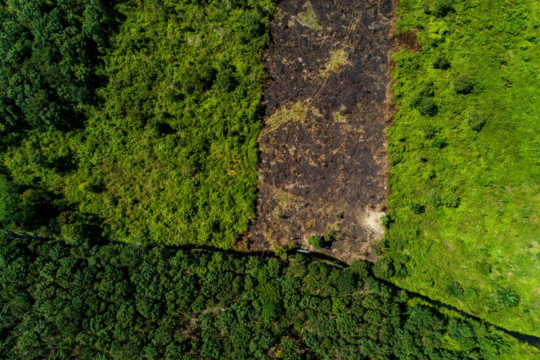 Aerial photo of peatland. © Nanang Sujana/CIFOR