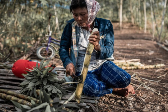 Forest management that prioritizes the ecosystem and local wisdom can increase the community's wellfare © Danar Tri Atmojo