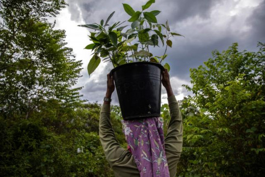 Interventions for food issues should not be carried out in ways that pose environmental, economic, and health risks. Photo by Kemal Jufri for WRI Indonesia.