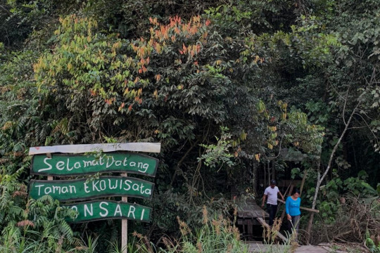 Kebon Sari Ecotourism Park in Pematang Rahim Village, Tanjung Jabung Timur, Jambi, 14 October 2021. © Yitno Suprapto