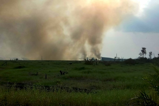 Kebakaran hutan dan lahan di Desa Tanjung Sari, Indragiri Hulu © Zamzami