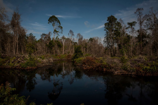 Photo Credit © Anna Wang/Greenpeace