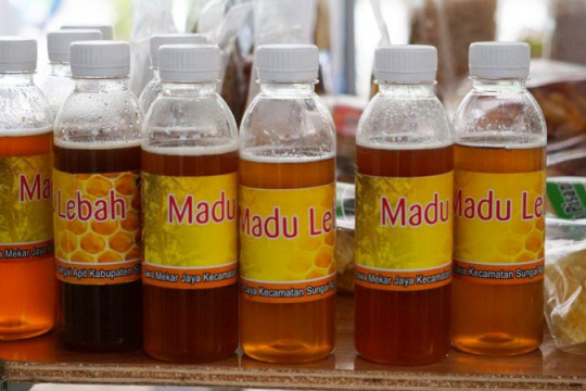 Forest honey is one of the main community commodities that is exhibited in the National Peat Jamboree. © Ferry Irawan / Coordinator of Simpul Jaringan Pantau Gambut Jambi