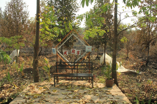 Sriwijaya Botanical Garden ©Parliza Hendrawan