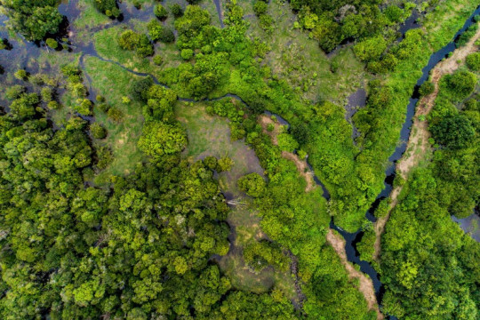 Mapping peat with LiDAR to support peatland restoration. © Nanang Sujana/CIFOR