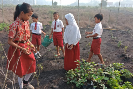 Introductory environmental lessons for the students of SDN Suka Makmur ©Malinda