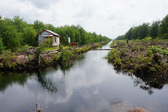 PT BMH HTI created a canal that divides the forest area in Lebung Hitam Village, Tulung Selapan District, OKI District. ©Ibrahim