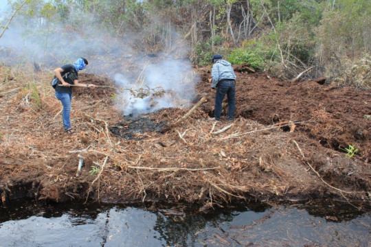 The author was trying to extinguish peat fires in Teluk Makmur Village, Riau, in early 2019. ©Pantau Gambut