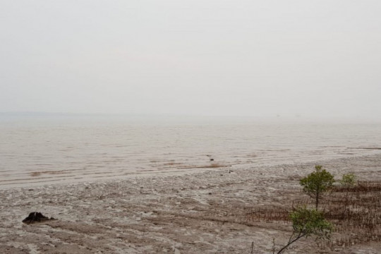 A photo of the sea amid the smog was taken from Sungai Kayu Ara Village, Siak District. On a clear day, Padang Island of Meranti Islands District can be seen from this location. ©Romes Irawan