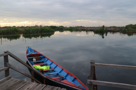 Photo Credit © Pantau Gambut