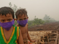 Regardless of the factors that cause forest and land fires, especially in peatlands, people are the first to be directly affected. © Aulia Erlangga/CIFOR