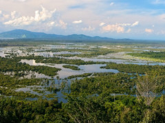 © Danar Tri Atmojo for Pantau Gambut