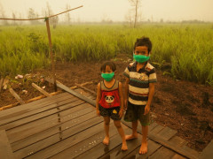 Children fell victim to the great fire in 2015. © Aulia Erlangga/CIFOR