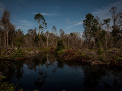 Photo Credit © Anna Wang/Greenpeace