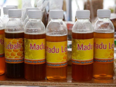 Forest honey is one of the main community commodities that is exhibited in the National Peat Jamboree. © Ferry Irawan / Coordinator of Simpul Jaringan Pantau Gambut Jambi