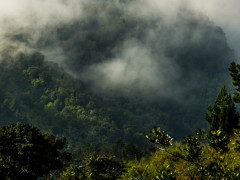 Kerinci Seblat National Park, Sumatra, Indonesia. © Luke Mackin/Flickr