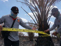 Forest fire investigation ©Donny Muslim