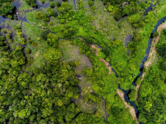 Mapping peat with LiDAR to support peatland restoration. © Nanang Sujana/CIFOR