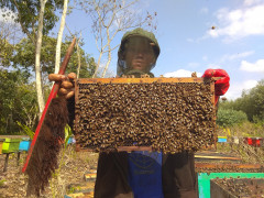 Beekeepers in Rantau Karya Village, Geragai Sub-District, East Tanjung Jabung District. © Yitno Suprapto