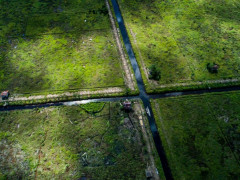 Canal on peatland area in Mendawai village, Katingan, Central Kalimantan. © Nanang Sujana/CIFOR