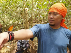 Executive Director of Walhi Central Kalimantan and Coordinator of Simpul Jaringan Pantau Gambut - Central Kalimantan