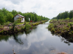 PT BMH HTI created a canal that divides the forest area in Lebung Hitam Village, Tulung Selapan District, OKI District. ©Ibrahim
