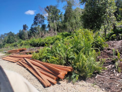 Piles of logs from illegal logging in the village forests along the main road from Sungai Tohor Village to Lukun Village, Riau in mid-October 2021. Documentation: Zamzami