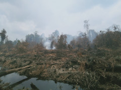 PT MAS concession conditions in Desa Sipin Teluk Duren, Kumpeh, Muaro Jambi Regency ©Anto