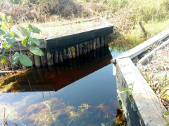 One of the non-functioning canal blockings in the West Tebing Tinggi Sub-District, Meranti Islands, Riau Province ©Pantau Gambut/Istimewa