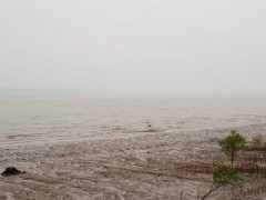 A photo of the sea amid the smog was taken from Sungai Kayu Ara Village, Siak District. On a clear day, Padang Island of Meranti Islands District can be seen from this location. ©Romes Irawan