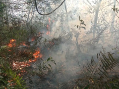 A fire in ​​Teluk Makmur Village, Medang Kampai, Dumai, Riau. ©Romes Irawan Putra/Kaliptra Andalas
