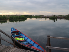 Photo Credit © Pantau Gambut