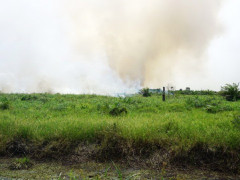 Smoldering fire in Muntialo, within the moratorium area and protected peatland region in Jambi. © Feri Irawan/Perkumpulan Hijau