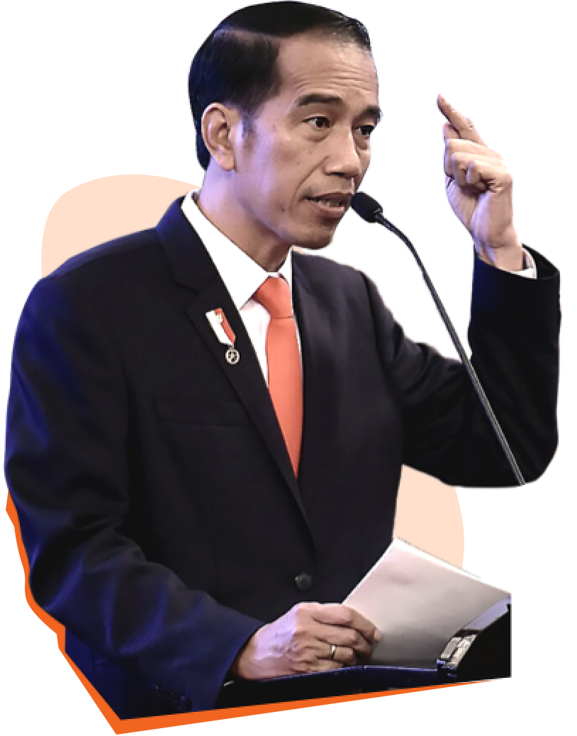 Comprehensive Protection in Natural Forests, Peatlands, and Coastal Areas