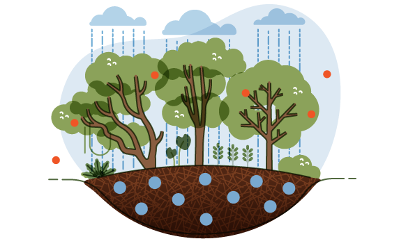 Important roles of peatlands