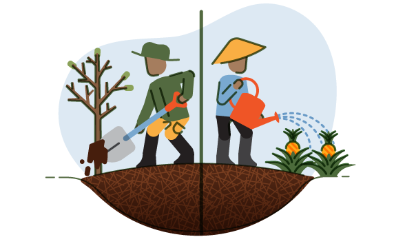 Peat governance in Indonesia 