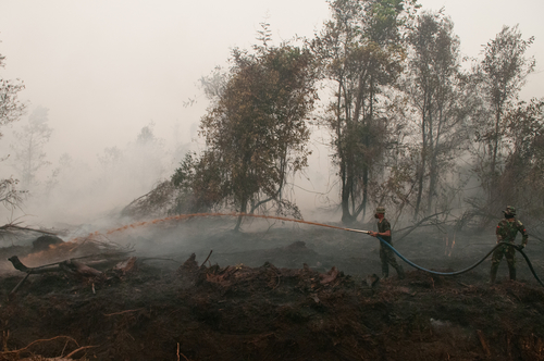 Extinguishing burned peatlands ©CIFOR