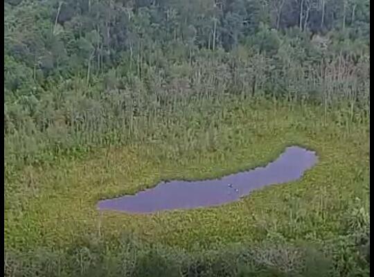 Ulu Mahmud Lake from Rumvio Studio video screenshot