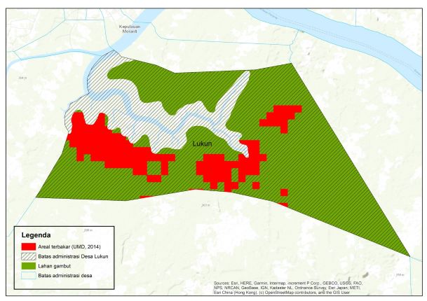 Burned forest area in ​​Lukun Village in 2014. Visualization by Pantau Gambut (2021)
