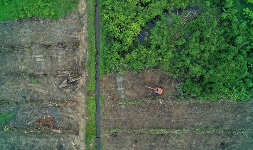 Peatland conversions lead to peatland degradation ©Ardiles Rante - HKV/Pantau Gambut